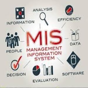 MIS